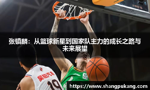 张镇麟：从篮球新星到国家队主力的成长之路与未来展望